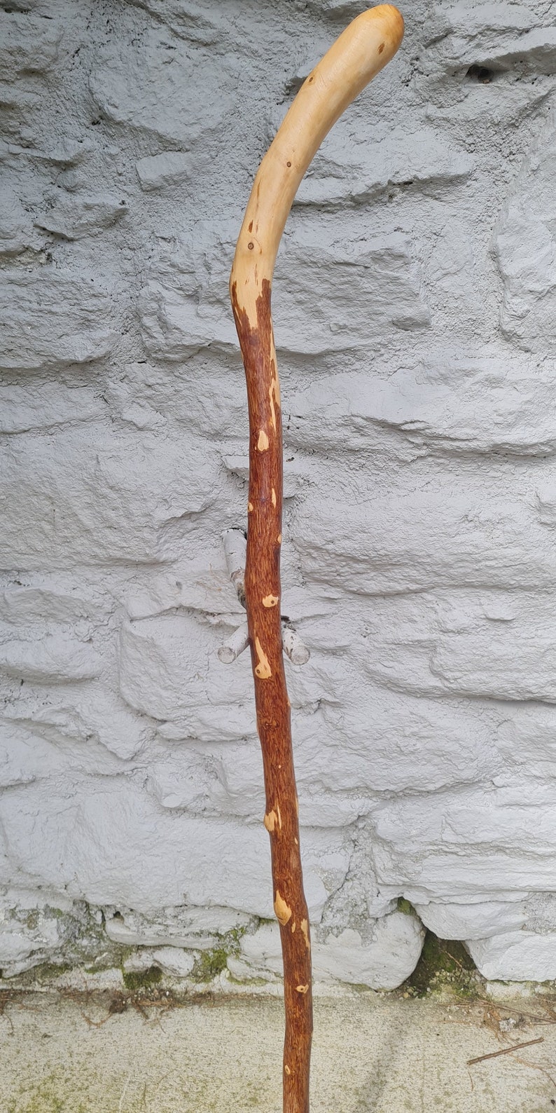 Hawthorn Walking Stick image 2