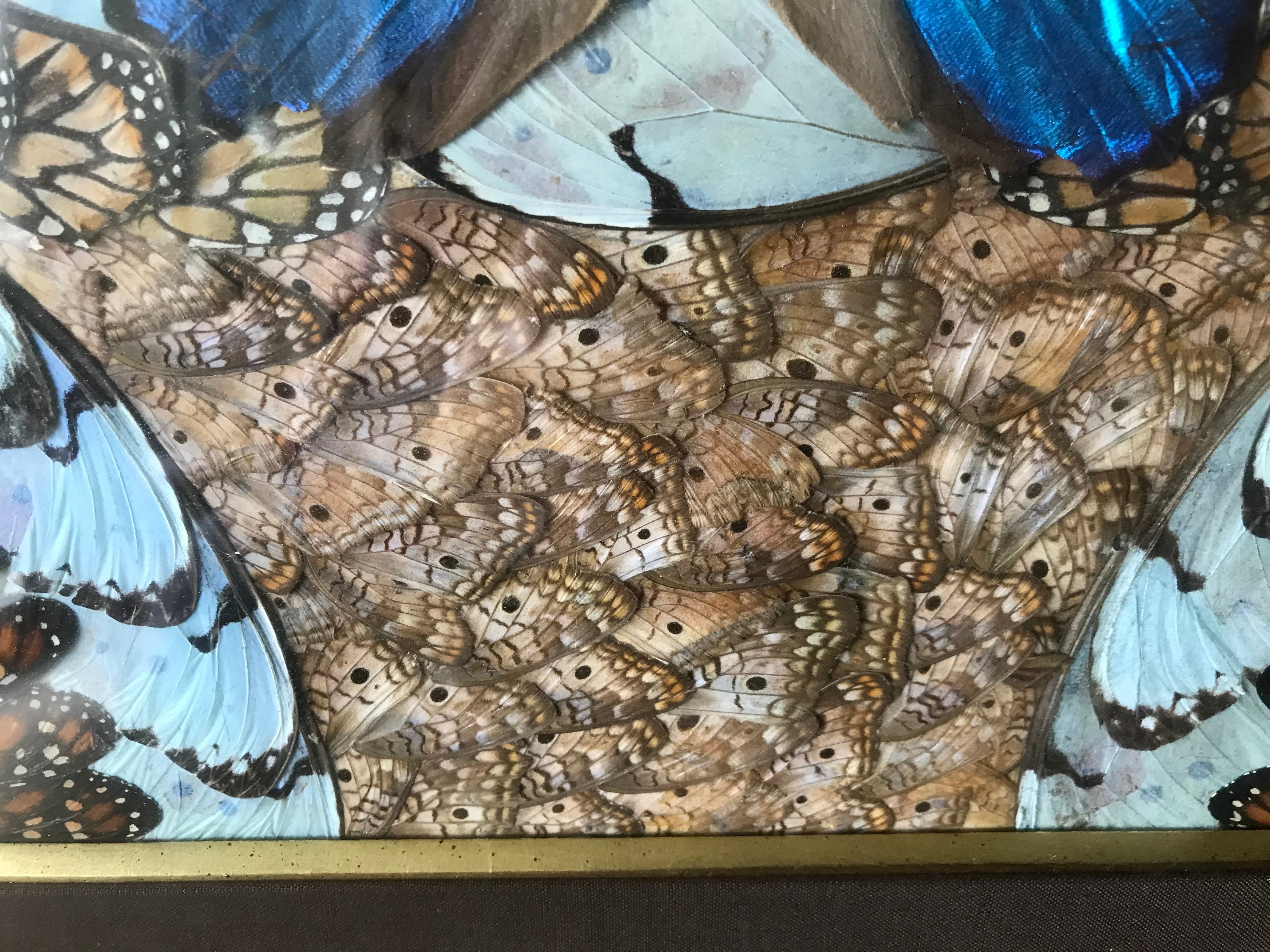 蝶の羽の絵、シュライパー フレーム、アフリカ - Etsy 日本