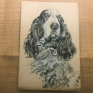 Peut inclure: Un dessin en noir et blanc de la tête d'un chien. Le chien a de longues oreilles tombantes et un long museau. Les yeux du chien sont fermés et sa bouche est légèrement ouverte.
