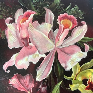 May include: A vintage illustration of pink orchids with yellow flowers in the background. The flowers are painted on a dark red background.