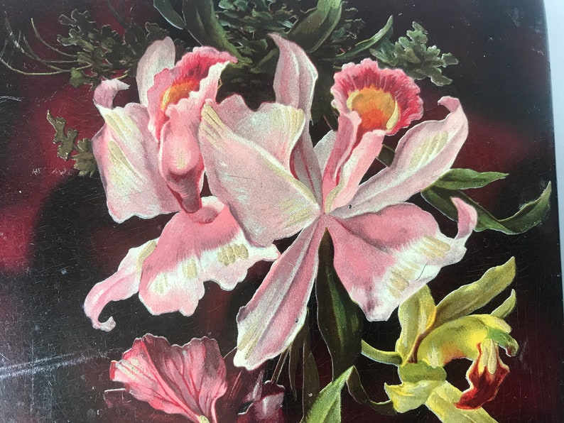 May include: A vintage illustration of pink orchids with yellow flowers in the background. The flowers are painted on a dark red background.