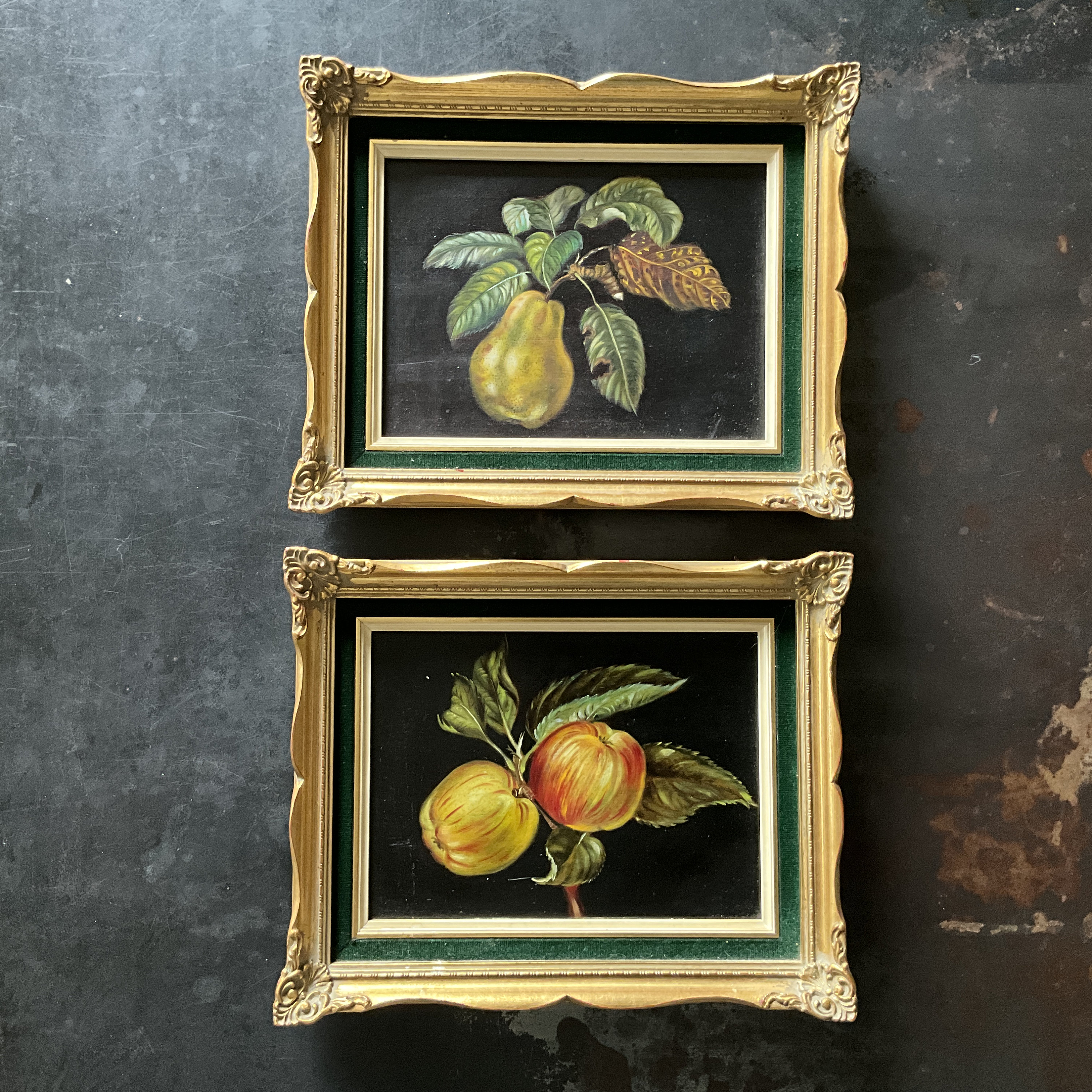 油彩　小さいみかんの木 油彩 小さいみかんの木 （絵画 レモン Lemon ミニキャンバス