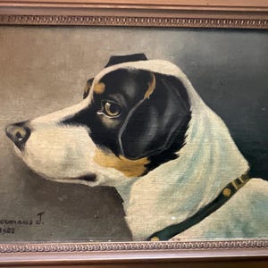 May include: Oil painting of a dog's head in profile, set in a brown wooden frame. The dog has black, white, and tan fur, with a dark green collar. The painting is signed "Schuermans J. 1928" in the lower left corner.