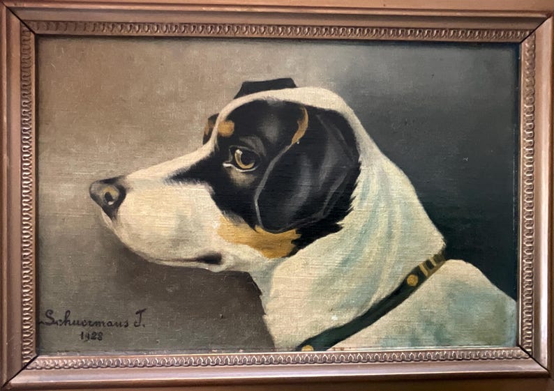 May include: Oil painting of a dog's head in profile, set in a brown wooden frame. The dog has black, white, and tan fur, with a dark green collar. The painting is signed "Schuermans J. 1928" in the lower left corner.