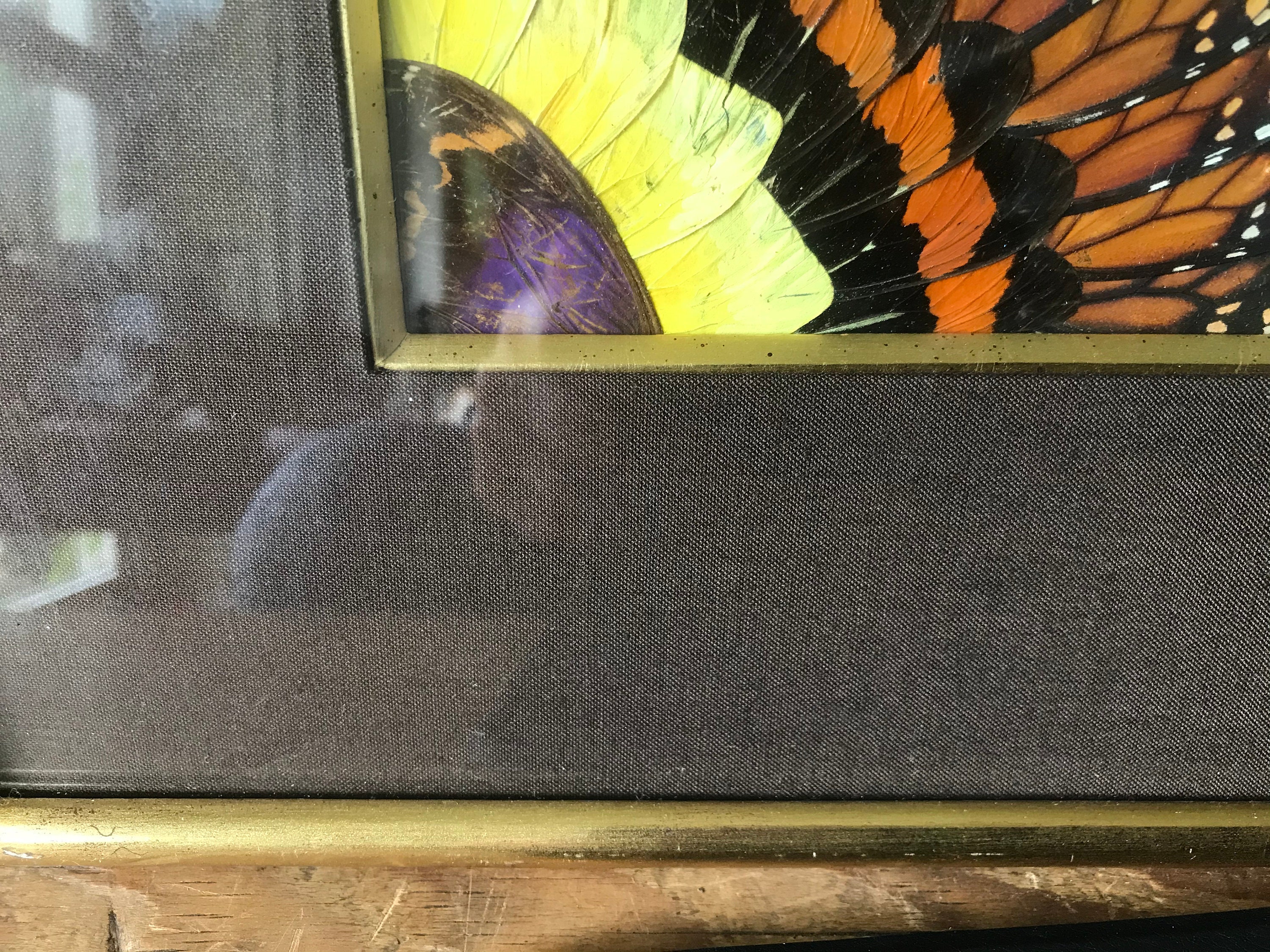 蝶の羽の絵、シュライパー フレーム、アフリカ - Etsy 日本