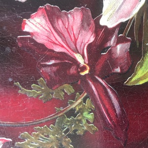 May include: A close-up of a red and pink flower with green leaves. The flower has a deep red center and a pink outer layer. The leaves are a dark green color and have a slightly textured surface.