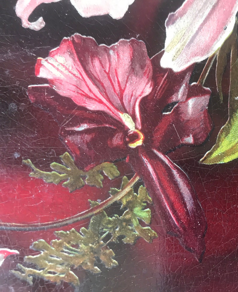 May include: A close-up of a red and pink flower with green leaves. The flower has a deep red center and a pink outer layer. The leaves are a dark green color and have a slightly textured surface.