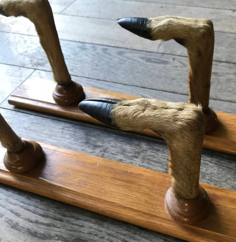 Oak Gun Rack With Deer Feet Taxidermy Etsy Denmark