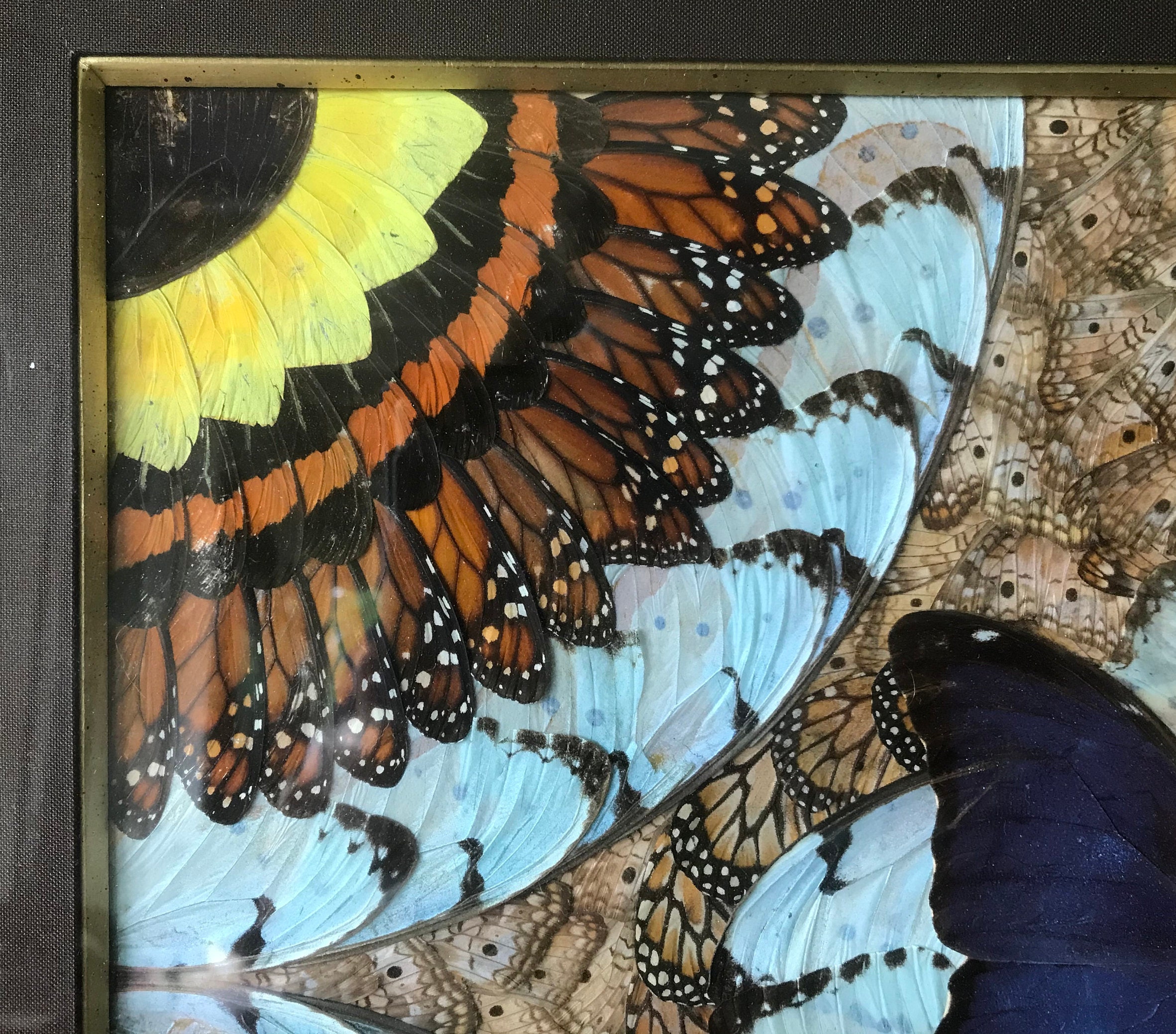 蝶の羽の絵、シュライパー フレーム、アフリカ - Etsy 日本