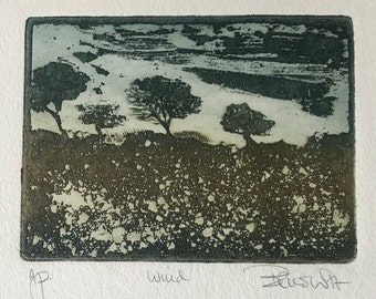 Etching and aquatint  by Sheila BENOW, 1970s,  landscape