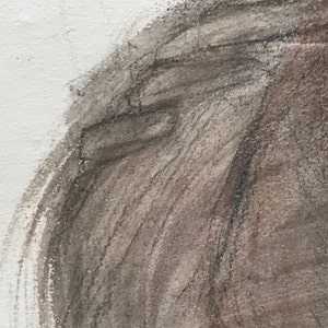 Carboncillo y acuarela sobre papel, rostro de mujer de semiperfil, Georges Van Zevenberghen imagen 8