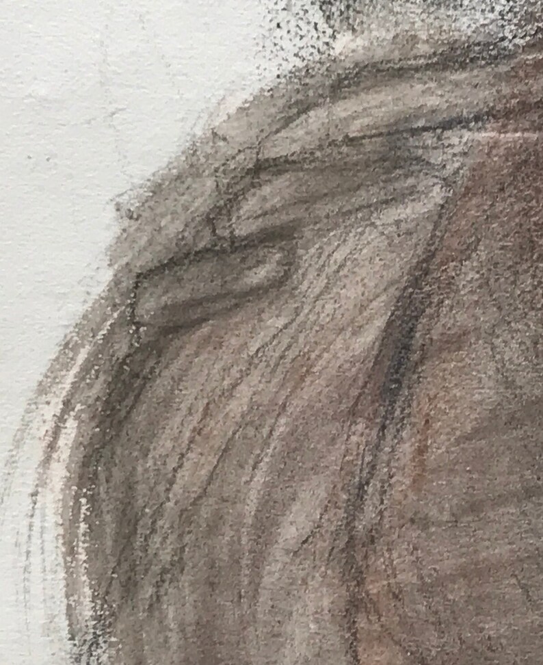Carboncillo y acuarela sobre papel, rostro de mujer de semiperfil, Georges Van Zevenberghen imagen 8