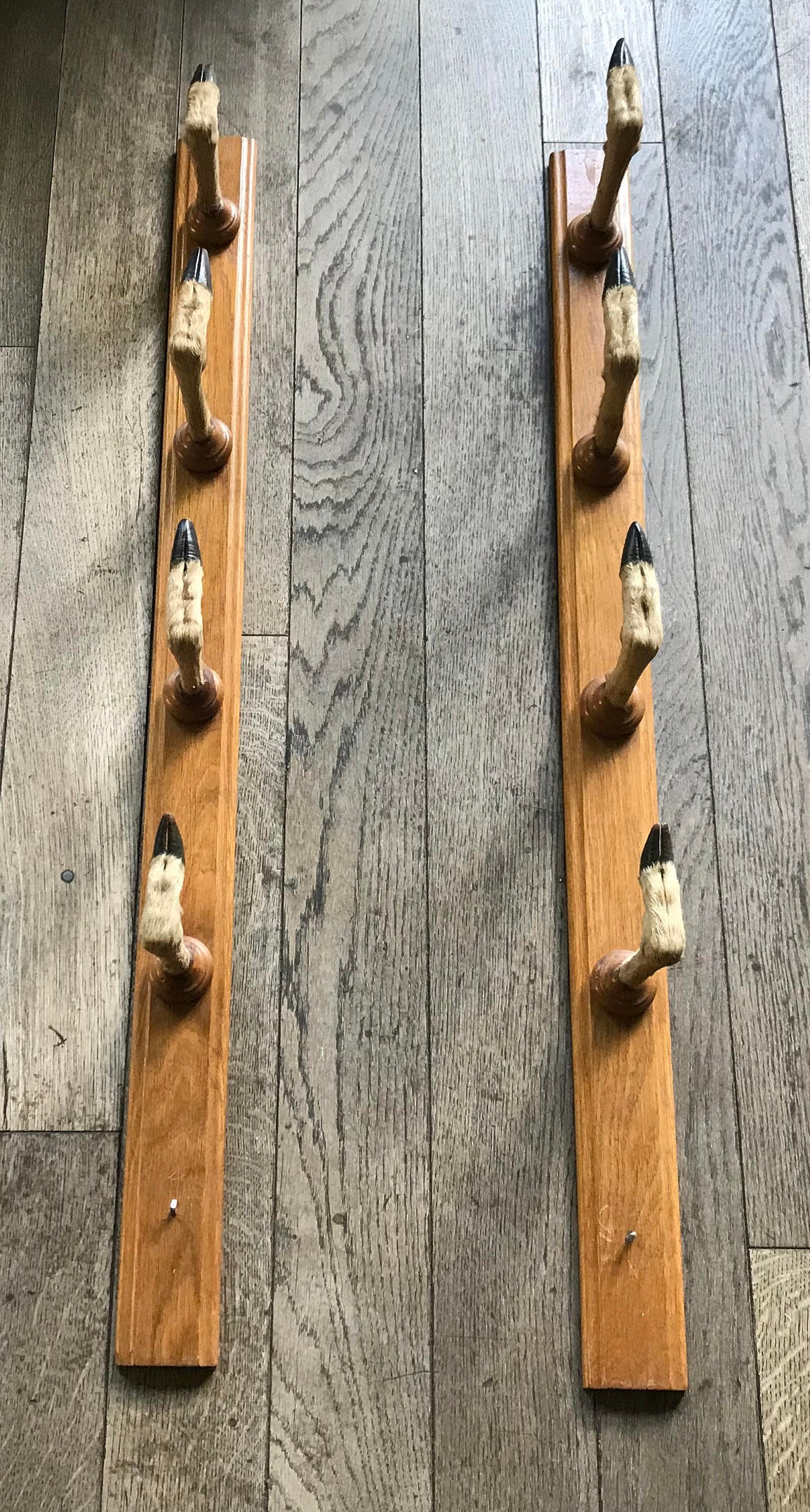 Oak Gun Rack With Deer Feet Taxidermy Etsy Denmark