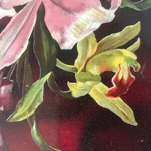 May include: A close-up of a vintage floral illustration featuring pink, yellow, and red flowers with green leaves on a dark red background.