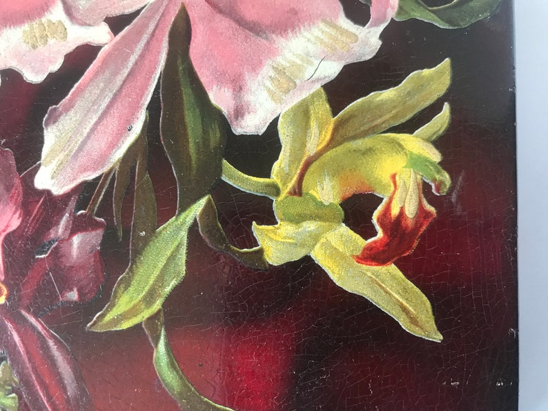 May include: A close-up of a vintage floral illustration featuring pink, yellow, and red flowers with green leaves on a dark red background.