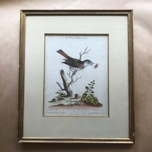 Peut inclure: Une estampe vintage encadrée d'un oiseau perché sur une branche, avec une fleur rouge dans son bec. L'estampe est intitulée "Die Rothkehlchen" et est de J.J. Audubon.