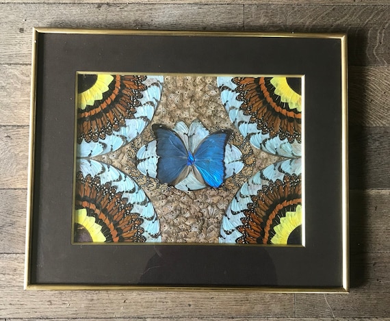 蝶絵画　蝶の羽　羽根細工　バタフライアート 蝶絵画 蝶の羽 羽根細工 バタフライアート