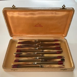 Dessertmessen 20 cm met hoornen heft