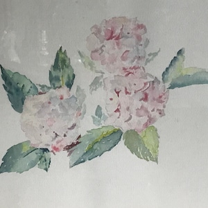 Fiori ad acquerello , di J.serruys, 1991