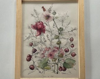 Drawing and watercolour on paper. Flowers and berries.