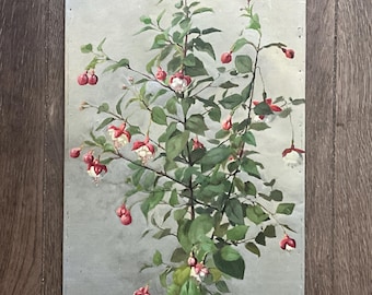 Fuchsia branches on a grey-green background