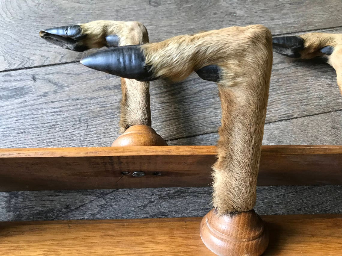 Oak Gun Rack With Deer Feet Taxidermy Etsy