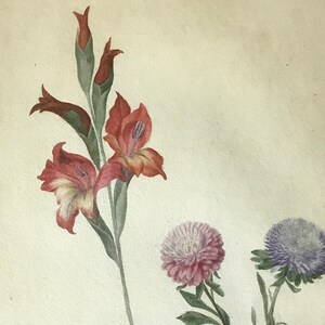 Old watercolor, study of flowers