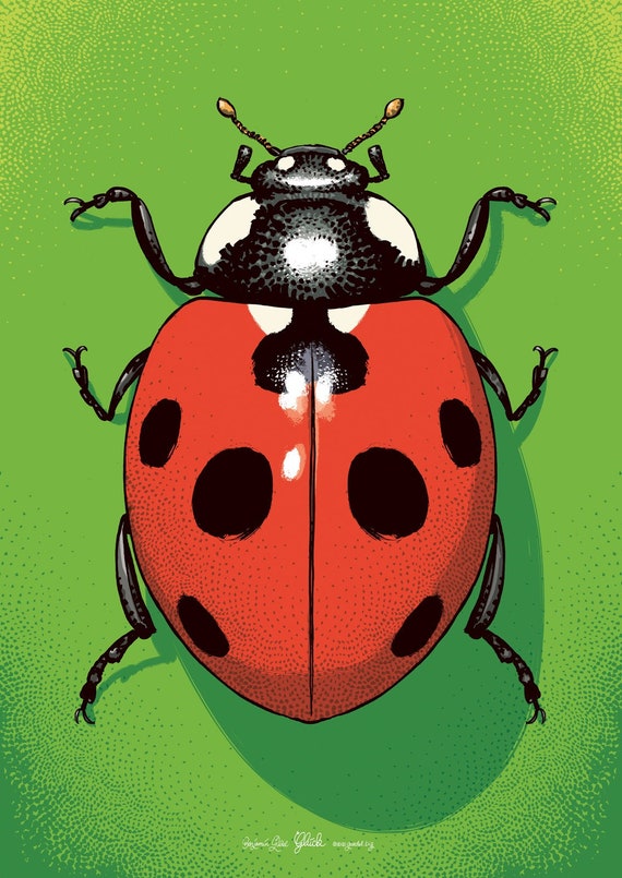 Luck Ladybug Poster Lucky Charm Joy Points Summer Insect Beetle