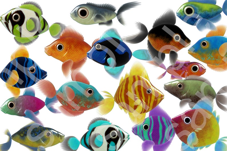 17 Individual Fish Clip Art Digital Files. 300 DPI 6.8 x 6.8 Inch image 1