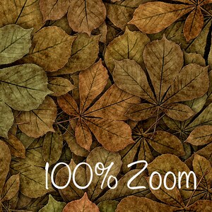 10 Digital Seamless Autumn Leaves Textures Digital Papers. 10 Inch. 300 DPI image 2