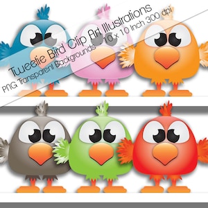 10 clip Art carina Tweetie uccello illustrazioni. PNG trasparente. 10 x 10 pollici. 300 dpi