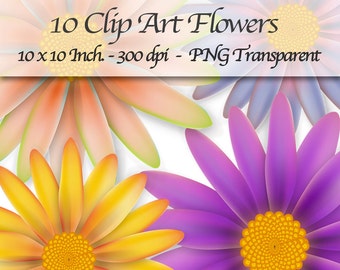 10 Clipart Flowers PNG Transparent. 10 x 10 Inch. 300 DPI