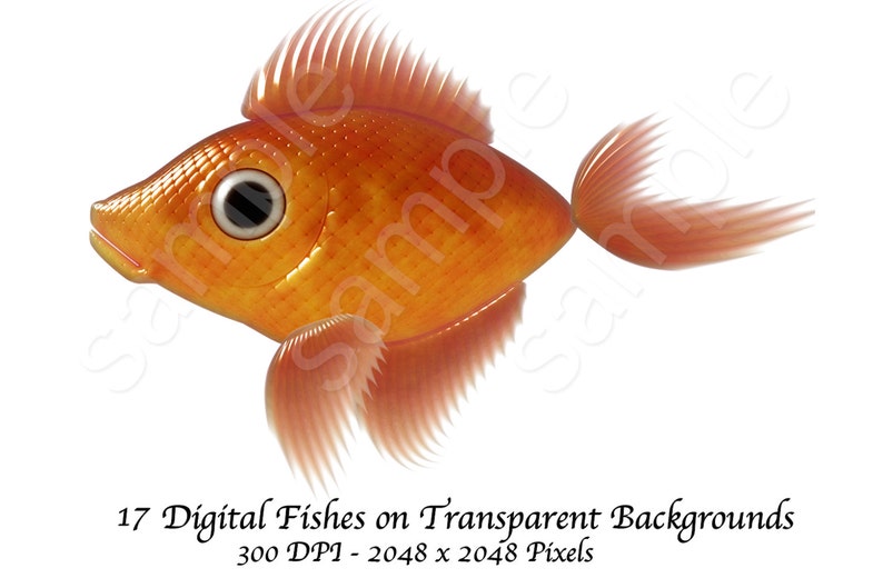 17 Individual Fish Clip Art Digital Files. 300 DPI 6.8 x 6.8 Inch image 2