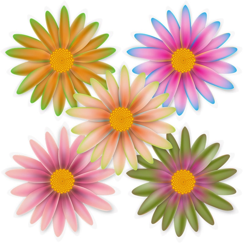 10 Clipart Blumen PNG Transparent. 10 x 10 cm. 300 DPI - Etsy.de