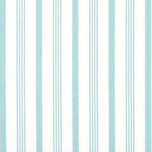 Outdoor or Indoor Dual Light Blue Stripes on White Easy-Care Fabric by the Yard Drapery, Curtain, Upholstery, Home Decor & Craft Fabric M896