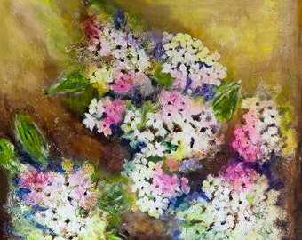 Hydrangea