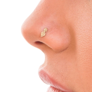 Indischer Nasenstecker, 14k Gold Nasenstecker, Tikka Nasenstecker, Solid Gold Nasenschraube, Indianer Piercing, 23g, 22g, 20g, 18g, 16g, von Alagia Jewelry