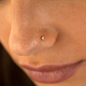 May include: A close-up of a person's nose with a small gold heart-shaped nose ring.