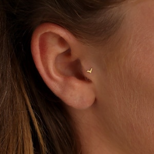 Petites boucles d'oreilles en or, Petites boucles d'oreilles tragus en or, Cartilage d'or, Puces d'oreilles, Petite boucle d'oreille montante, Petite boucle d'oreille, Petit clou, Boucles d'oreilles oiseau