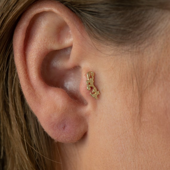 Gold Tragus Piercing