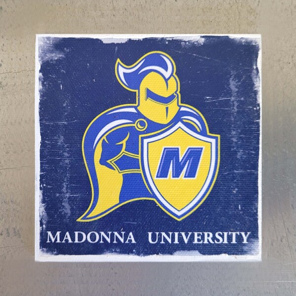 Modonna University, Michigan Magnet, College Dorm Decor, Birthday Gift, Man Cave Decor, Gift For Her, Graduation Gift, Gift For Mom