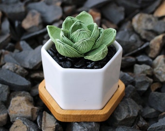 Paper Succulent Kit, includes pot + gravel, choose your own colors