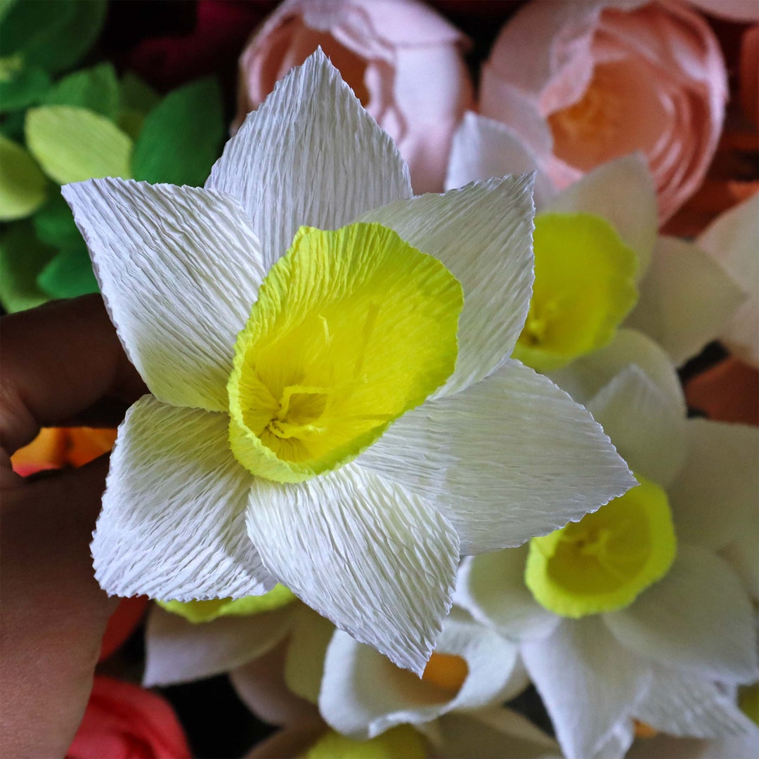 Crepe Paper Daffodils in Any Color Combo Spring Flower Stems Etsy