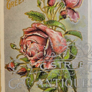 Cartão postal vintage de aniversário, arquivo digital, cartão postal, antiguidade, gráfico, feriado, design, flor, floral, feliz aniversário, aniversário, saudações