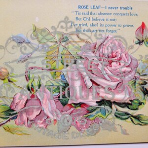 Flower Vintage Post Card, Digital file, postcard, antique, graphic, flowers, travel, flower, floral, violet, antique