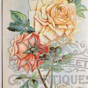 Beste wensen Vintage Postkaart, digitaal bestand, ansichtkaart, antiek, grafisch, bloemen, reizen, bloemen, beste wensen, antiek