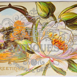 Greetings Vintage Post Card, Digital file, postcard, antique, graphic, flowers, hello, welcome, greeting, hi, floral, antique