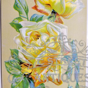 Flower Vintage Post Card, Digital file, postcard, antique, graphic, flowers, travel, flower, floral, violet, antique