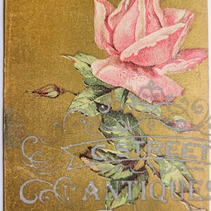 Flower Vintage Post Card, Digital file, postcard, antique, graphic, flowers, travel, flower, floral, violet, antique