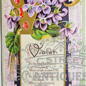 Flower Vintage Post Card, Digital file, postcard, antique, graphic, flowers, travel, flower, floral, violet, antique